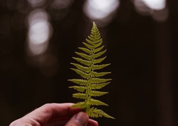 0001_artiom-vallat-udoyn43c2os-unsplash_1629282542-0b1b10a5660b86ae1bf2c0c06418130d.jpg