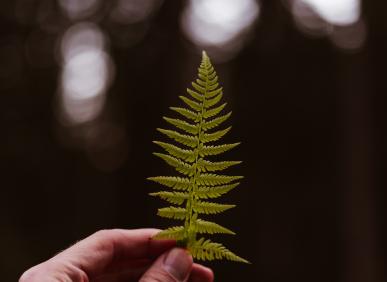 0001_artiom-vallat-udoyn43c2os-unsplash_1629282542-d06125bbc30f913d6f2f12eb762843b8.jpg