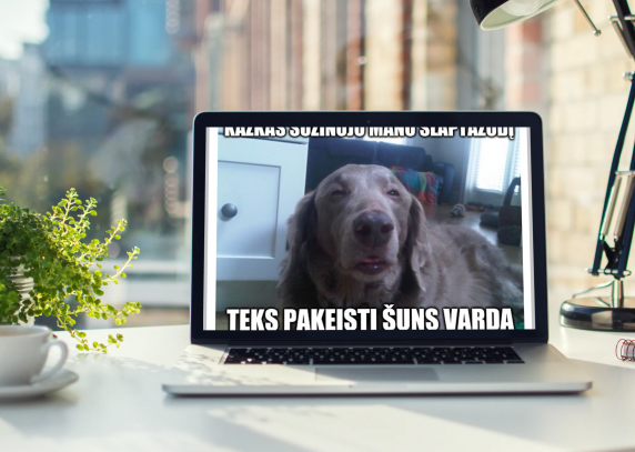 0001_vtmc1-kopija_1620717534-f1e13de448aefc6a036c156bc88661f7.png